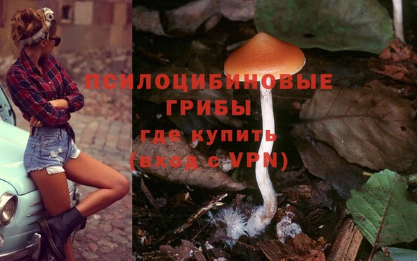 jwh Абаза