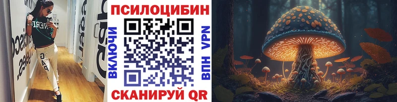 Псилоцибиновые грибы GOLDEN TEACHER  ОМГ ОМГ как зайти  Инза 